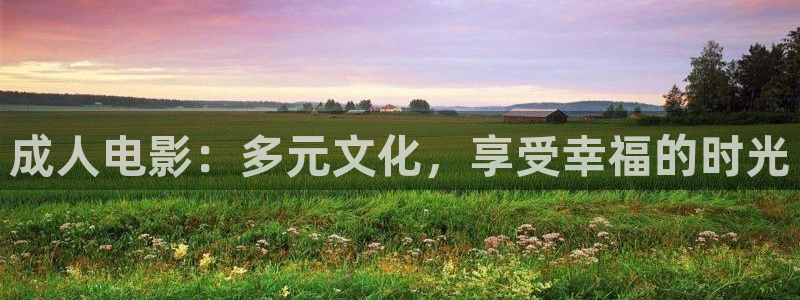 天狼影院2023在线观看：成人电影：多元文化，享受幸福的时光