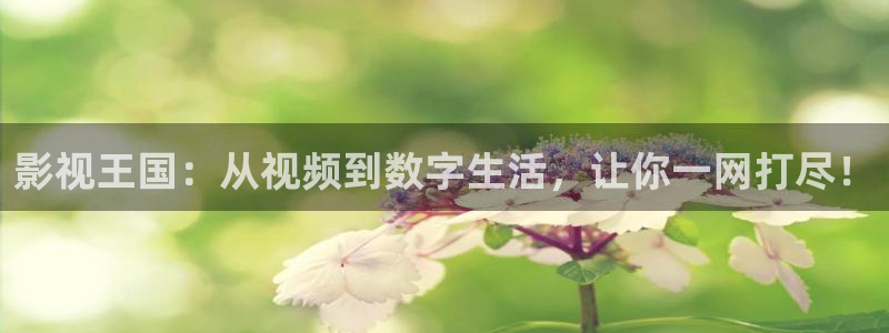 天狼影视剧网：影视王国：从视频到数字生活，让你一网打尽！
