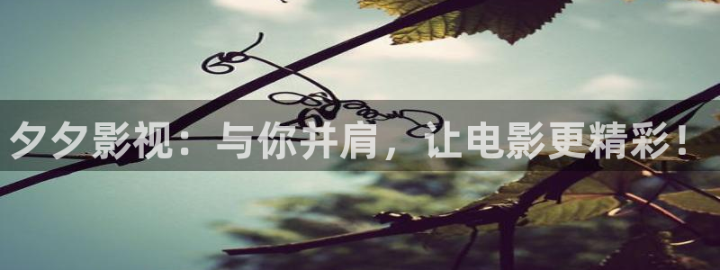 天狼影院电视剧2023在线