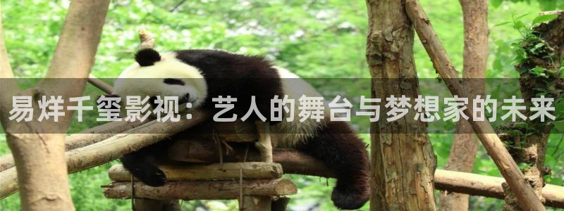 天狼影院理论在线播放