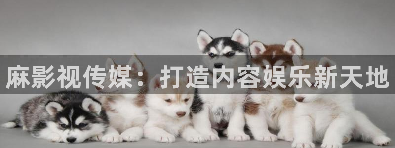 天狼影院怕怕怕：麻影视传媒：打造内容娱乐新天地